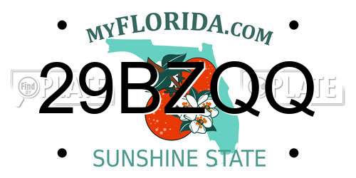 29BZQQ Florida License Plate
