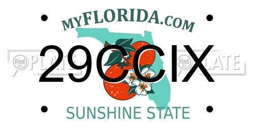 29CCIX Florida License Plate