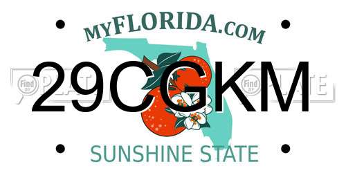 29CGKM Florida License Plate