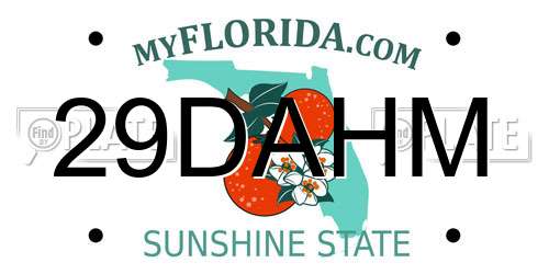 29DAHM Florida License Plate