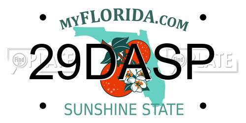 29DASP Florida License Plate