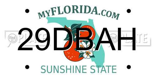 29DBAH Florida License Plate