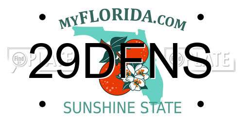 29DFNS Florida License Plate