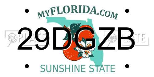 29DGZB Florida License Plate