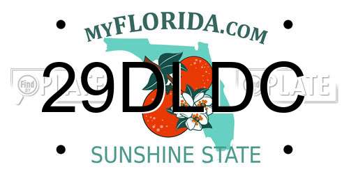 29DLDC Florida License Plate