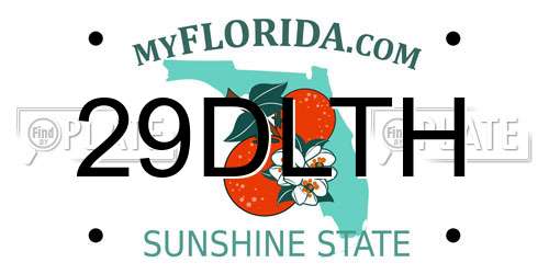 29DLTH Florida License Plate