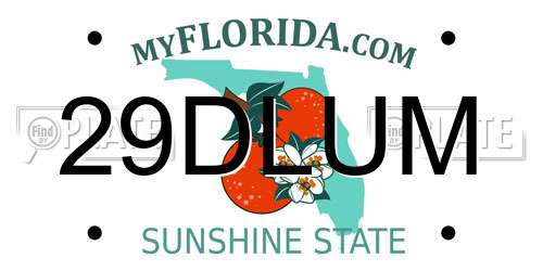 29DLUM Florida License Plate