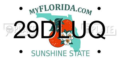 29DLUQ Florida License Plate
