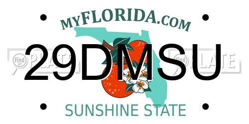 29DMSU Florida License Plate
