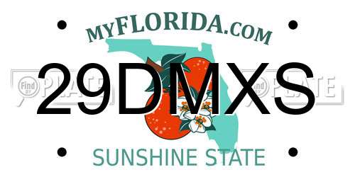 29DMXS Florida License Plate