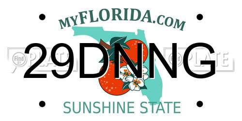 29DNNG Florida License Plate