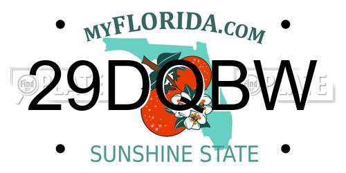 29DQBW Florida License Plate