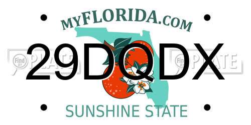 29DQDX Florida License Plate