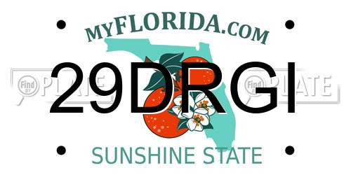29DRGI Florida License Plate