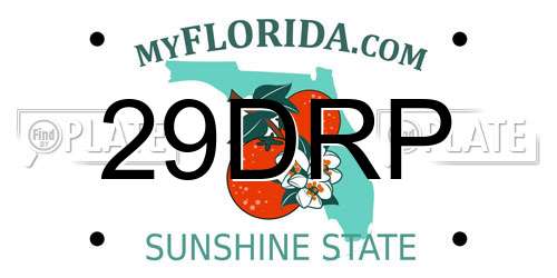 29DRP Florida License Plate