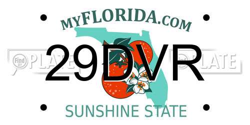 29DVR Florida License Plate