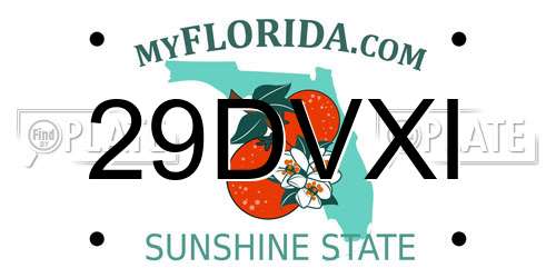 29DVXI Florida License Plate