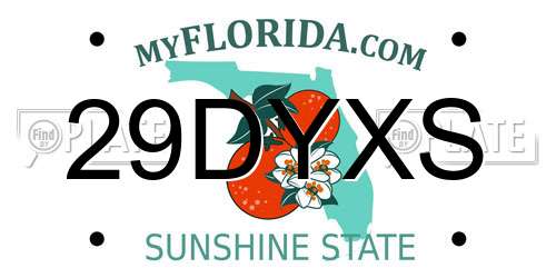 29DYXS Florida License Plate