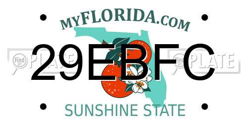 29EBFC Florida License Plate