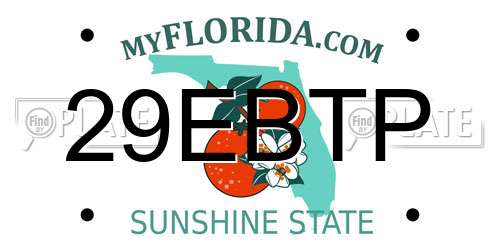 29EBTP Florida License Plate