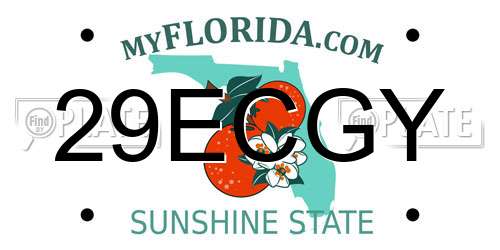 29ECGY Florida License Plate