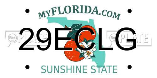 29ECLG Florida License Plate