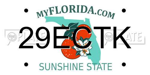 29ECTK Florida License Plate