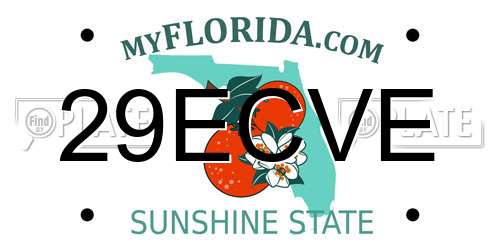 29ECVE Florida License Plate