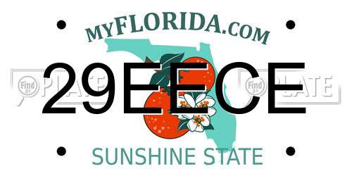 29EECE Florida License Plate