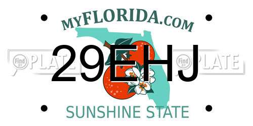 29EHJ Florida License Plate