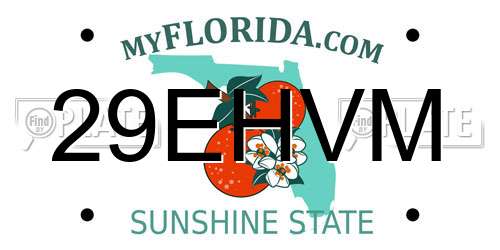 29EHVM Florida License Plate