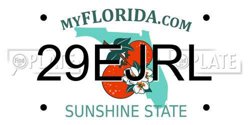 29EJRL Florida License Plate