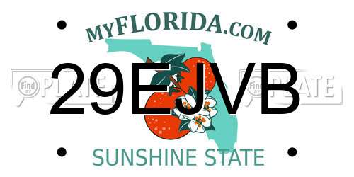 29EJVB Florida License Plate