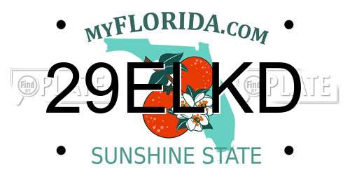 29ELKD Florida License Plate