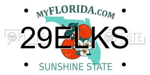 29ELKS Florida License Plate