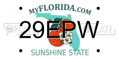 29EPW Florida License Plate