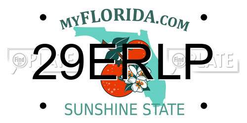 29ERLP Florida License Plate