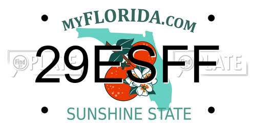 29ESFF Florida License Plate