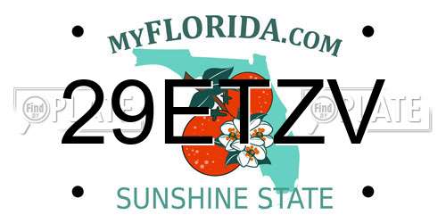 29ETZV Florida License Plate
