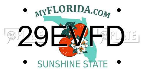 29EVFD Florida License Plate