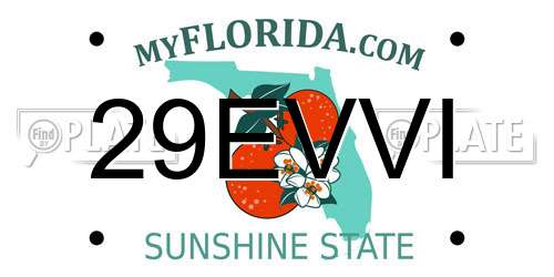 29EVVI Florida License Plate
