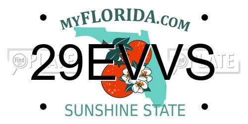 29EVVS Florida License Plate