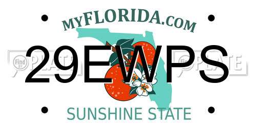 29EWPS Florida License Plate