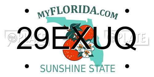 29EXUQ Florida License Plate