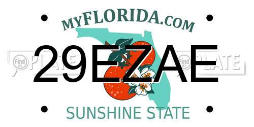 29EZAE Florida License Plate
