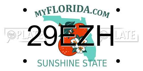29EZH Florida License Plate