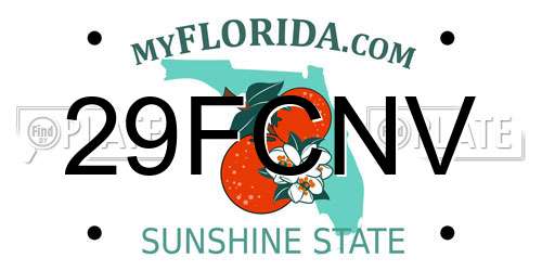 29FCNV Florida License Plate