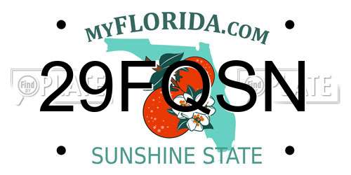 29FQSN Florida License Plate