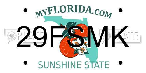 29FSMK Florida License Plate