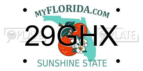 29GHX Florida License Plate